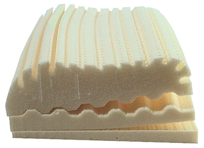 lienenkaemper-Schnitt Cervical_a_.jpg