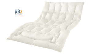 Zudecke dormabell Daunen Edition WB 3